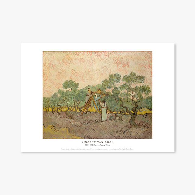 타임세일40%) [A3] 명화 포스터 036 Vincent van Gogh Women Picking Olives 빈센트 반 고흐